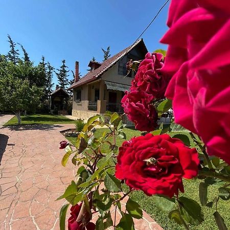 Villa Katerina Nea Kallikrateia Exterior foto